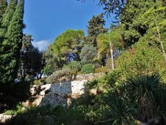183 HYERES ET SES PALMIERS D01_000031